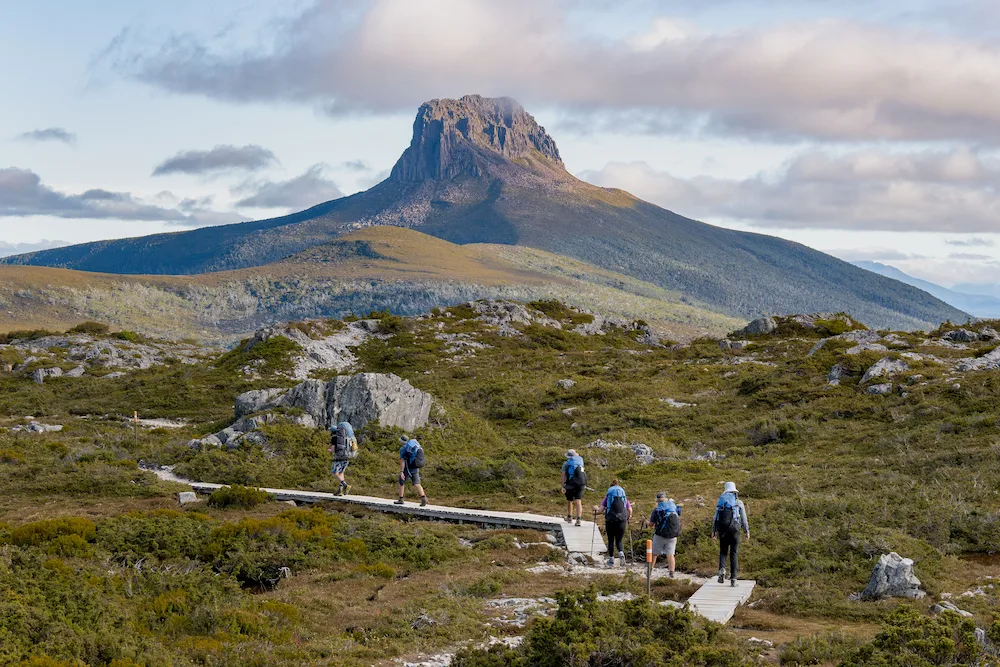 Tasmanian Tourism Awards background